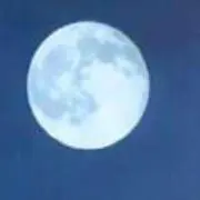 サキ