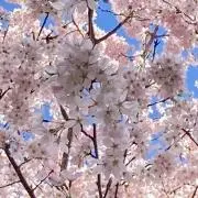 ！引っ越し断捨離中！プロフ必読の画像