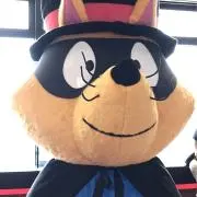 SDSDの画像