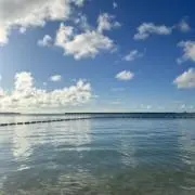 ゆの画像