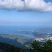 こーき
