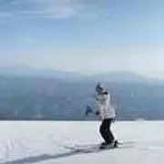 煎茶丸の画像