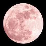 るってる・きゃお