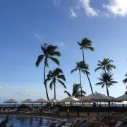 MARN4の画像