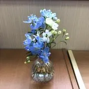 マルコフ☆即購入OK、プロフ必読の画像