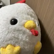 nokonoko(プロフ必読)の画像