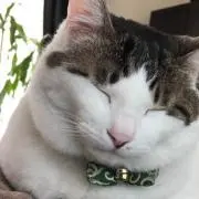 あーちゃんプロフ必読！！！