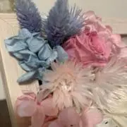 そられの画像
