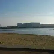 シラス【即購入可】の画像