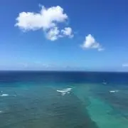 りぃの画像
