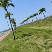 58☆の画像