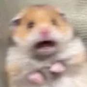 ののの画像