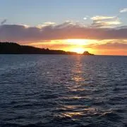 jtwyy174の画像