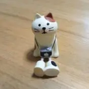 ははつの画像