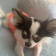 うーちゃんママ