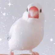 MuU