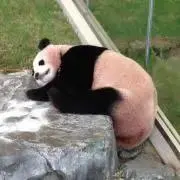 y(^^)yプロフ必読お願いします！の画像