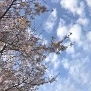 shiro⭐︎⭐︎⭐︎プロフ必読の画像