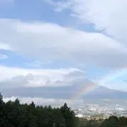エレファ