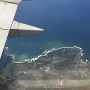 Bたまご