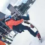 マサの画像