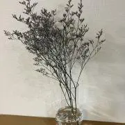 ykshop..の画像