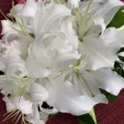 ともみんの画像