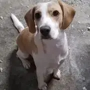 まっこんの画像