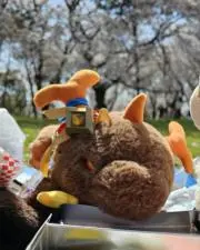 璃(#プロフ確認願)の画像