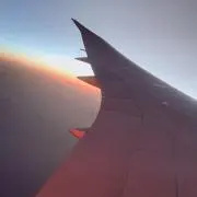なしいろ