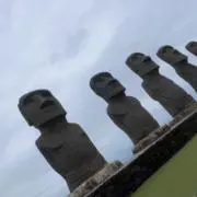 HANAの画像