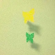 ☆はむ☆の画像