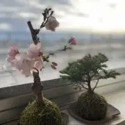 きみーーの画像