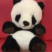 noa