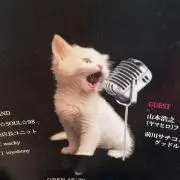 スコちゃんの画像