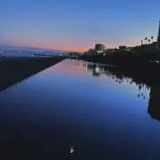 ゴイサギ