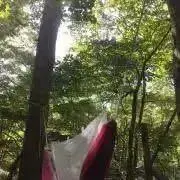 みの画像