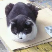 ちび