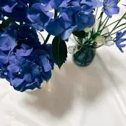 なっちの画像