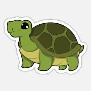 Tortoise