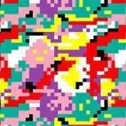 ぴぴの画像