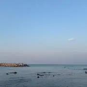 もちの画像