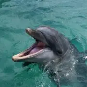 はるママ☆