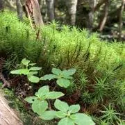 駿一の画像