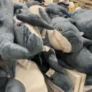 Rの画像