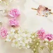 まゆんぱの画像