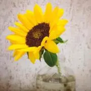 yuuの画像
