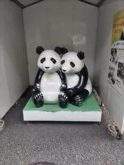 どんちゃんの画像