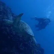 たもの画像