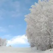 雪華の画像